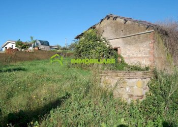 Foto 2 - Terreno agricolo Velletri - foto 2