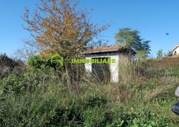 Foto 3 - Terreno agricolo Velletri - foto 3