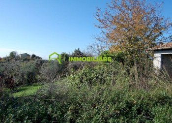 Foto 4 - Terreno agricolo Velletri - foto 4