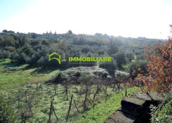 Foto 5 - Terreno agricolo Velletri - foto 5