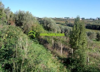 Foto 6 - Terreno agricolo Velletri - foto 6