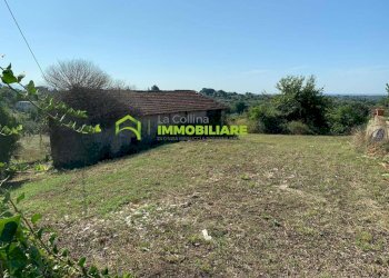 Foto 8 - Terreno agricolo Velletri - foto 8