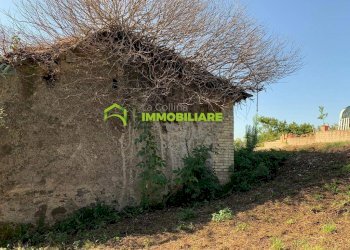 Foto 9 - Terreno agricolo Velletri - foto 9