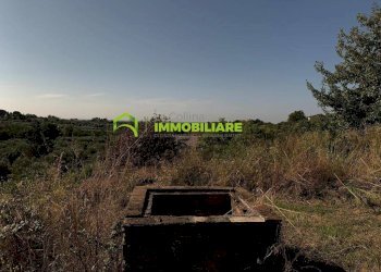 Foto 10 - Terreno agricolo Velletri - foto 10