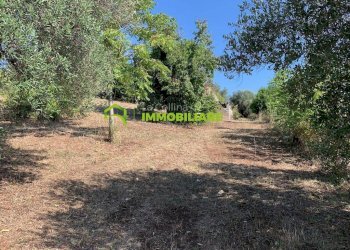 Foto 13 - Terreno agricolo Velletri - foto 13