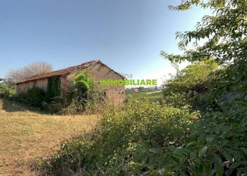 Foto 14 - Terreno agricolo Velletri - foto 14