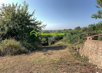 Foto 16 - Terreno agricolo Velletri - foto 16