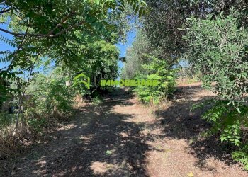 Foto 17 - Terreno agricolo Velletri - foto 17