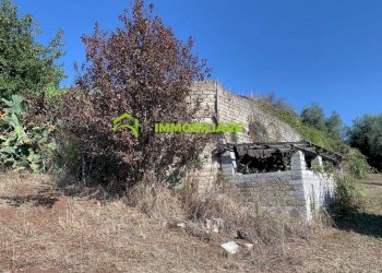 Foto 18 - Terreno agricolo Velletri - foto 18