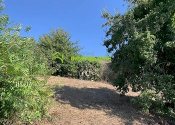 Foto 19 - Terreno agricolo Velletri - foto 19