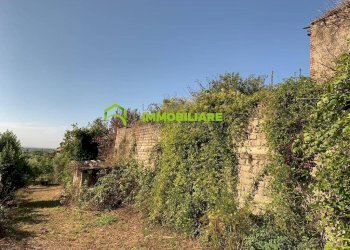 Foto 20 - Terreno agricolo Velletri - foto 20