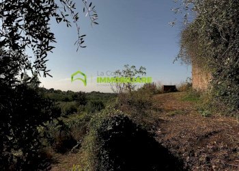 Foto 23 - Terreno agricolo Velletri - foto 23