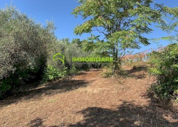 Foto 24 - Terreno agricolo Velletri - foto 24