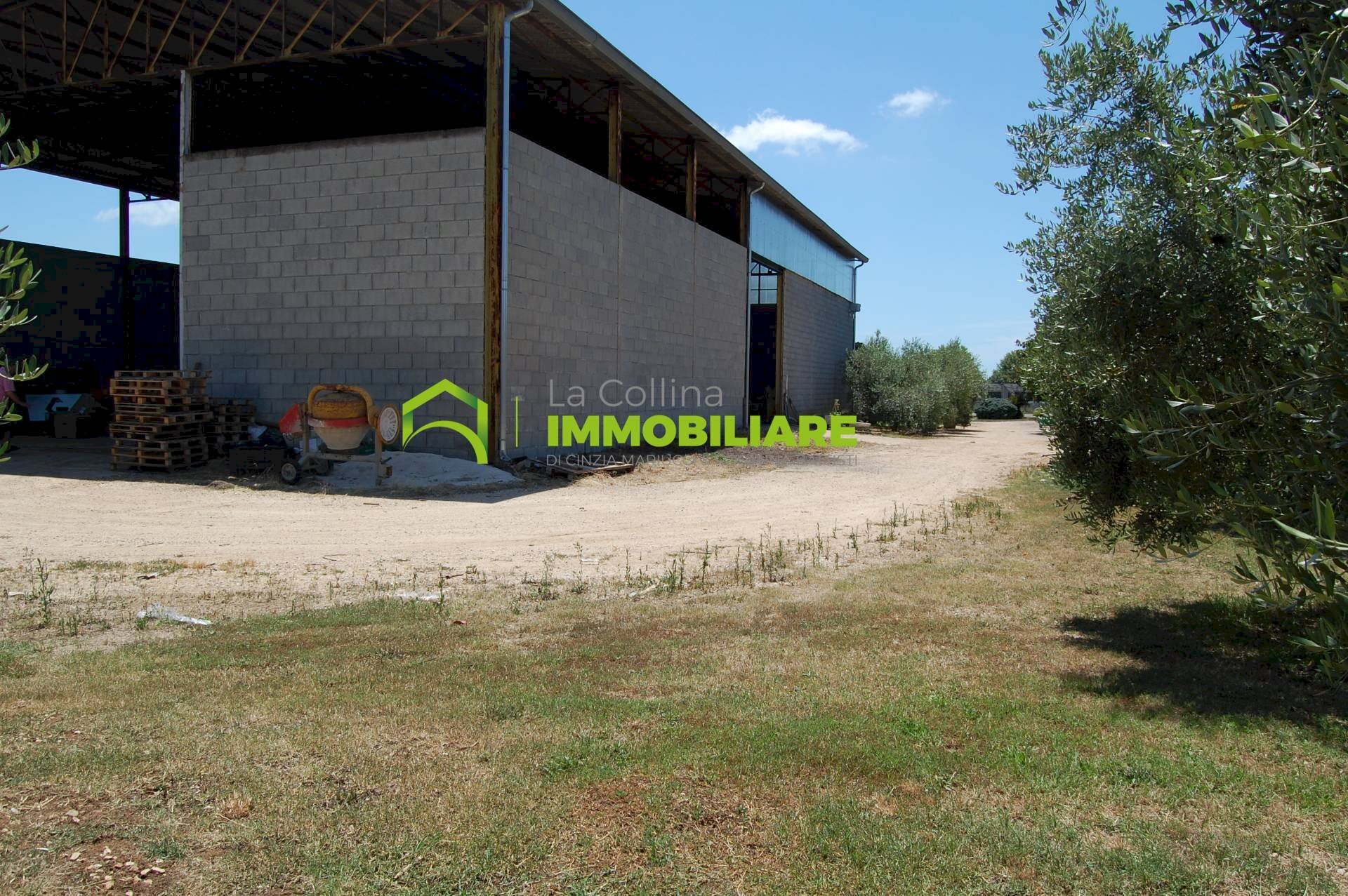 Foto 1 - Shed via delle Querce, Cisterna di Latina - photo 1