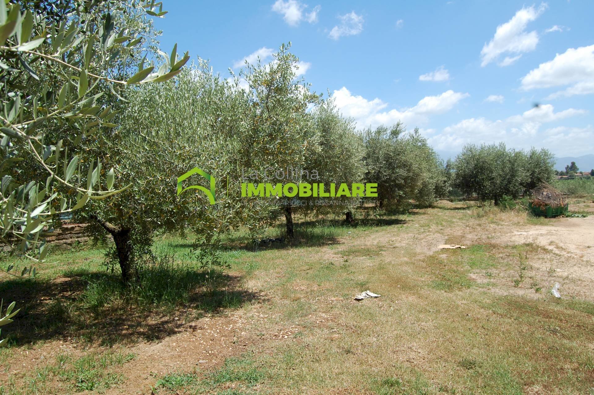 Foto 3 - Shed via delle Querce, Cisterna di Latina - photo 3