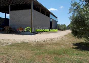 Foto 1 - Capannone via delle Querce, Cisterna di Latina - foto 1