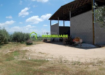 Foto 2 - Capannone via delle Querce, Cisterna di Latina - foto 2