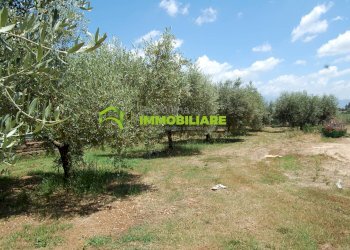 Foto 3 - Capannone via delle Querce, Cisterna di Latina - foto 3