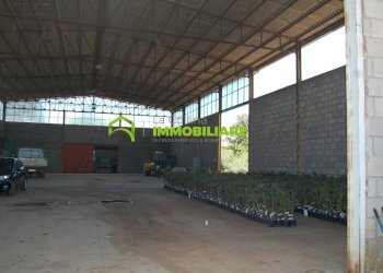 Foto 5 - Capannone via delle Querce, Cisterna di Latina - foto 5