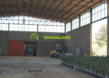 Foto 6 - Capannone via delle Querce, Cisterna di Latina - foto 6