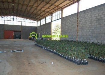 Foto 9 - Capannone via delle Querce, Cisterna di Latina - foto 9