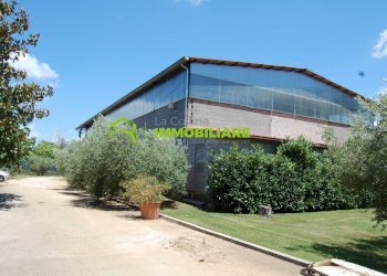 Foto 11 - Capannone via delle Querce, Cisterna di Latina - foto 11