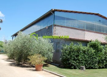 Foto 12 - Capannone via delle Querce, Cisterna di Latina - foto 12