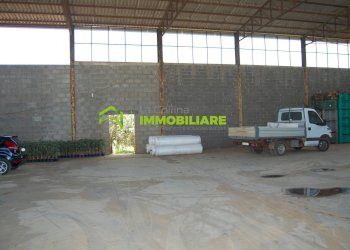 Foto 19 - Capannone via delle Querce, Cisterna di Latina - foto 19