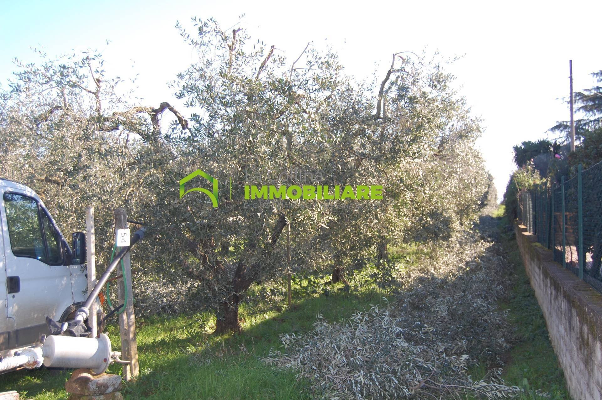 Foto 2 - Terreno agricolo via dei cinque archi, Velletri - foto 2