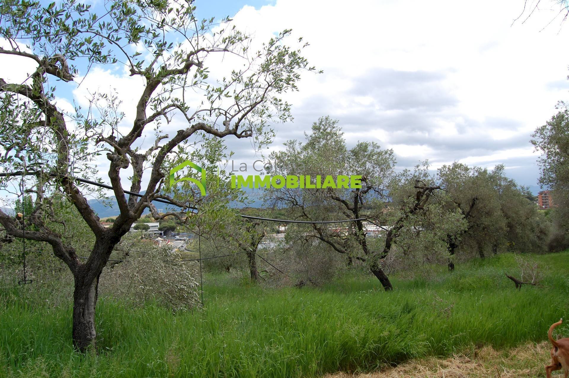 Foto 1 - Terreno agricolo VIA CIVITONA, Cisterna di Latina - foto 1