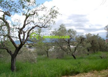 Foto 1 - Terreno agricolo VIA CIVITONA, Cisterna di Latina - foto 1