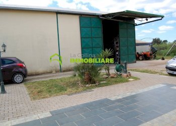 Foto 3 - Terreno agricolo VIA CIVITONA, Cisterna di Latina - foto 3