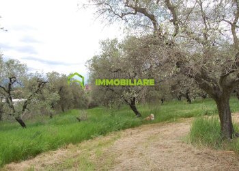 Foto 4 - Terreno agricolo VIA CIVITONA, Cisterna di Latina - foto 4