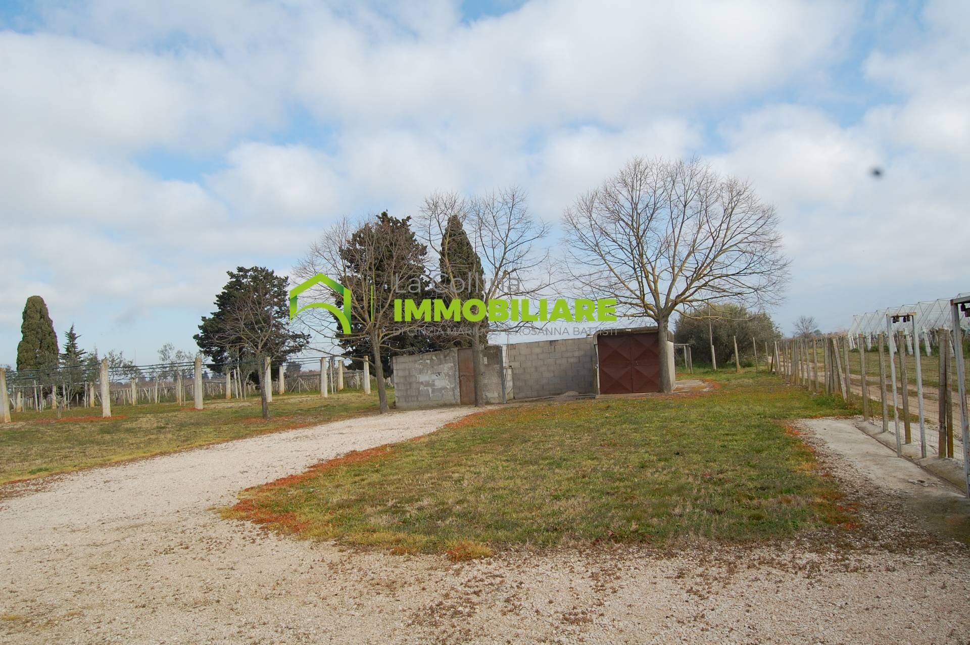 Foto 2 - Terreno agricolo VIA DELLA GAZZA
10, Cisterna di Latina - foto 2