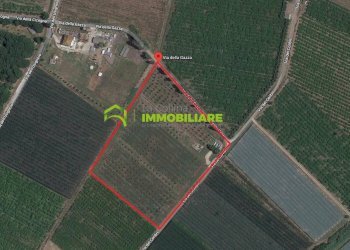 Foto 1 - Terreno agricolo VIA DELLA GAZZA
 
10, Cisterna di Latina - foto 1