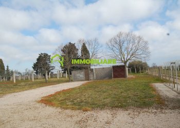 Foto 2 - Terreno agricolo VIA DELLA GAZZA
 
10, Cisterna di Latina - foto 2