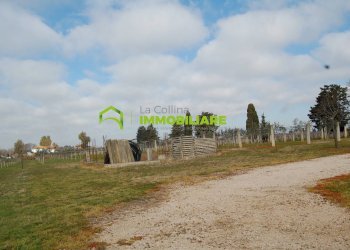 Foto 4 - Terreno agricolo VIA DELLA GAZZA
 
10, Cisterna di Latina - foto 4