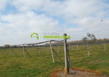 Foto 5 - Terreno agricolo VIA DELLA GAZZA
 
10, Cisterna di Latina - foto 5