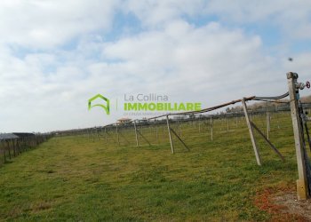 Foto 6 - Terreno agricolo VIA DELLA GAZZA
 
10, Cisterna di Latina - foto 6