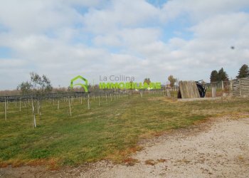 Foto 8 - Terreno agricolo VIA DELLA GAZZA
 
10, Cisterna di Latina - foto 8