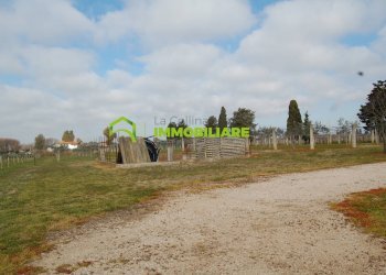 Foto 9 - Terreno agricolo VIA DELLA GAZZA
 
10, Cisterna di Latina - foto 9