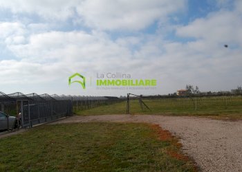 Foto 11 - Terreno agricolo VIA DELLA GAZZA
 
10, Cisterna di Latina - foto 11