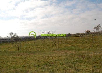 Foto 18 - Terreno agricolo VIA DELLA GAZZA
 
10, Cisterna di Latina - foto 18