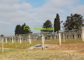 Foto 22 - Terreno agricolo VIA DELLA GAZZA
 
10, Cisterna di Latina - foto 22