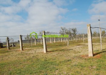 Foto 24 - Terreno agricolo VIA DELLA GAZZA
 
10, Cisterna di Latina - foto 24