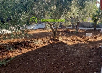 Foto 14 - Villa via dei cinque archi, Velletri - photo 14