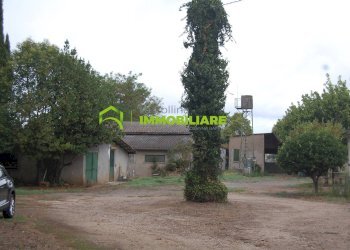 Foto 2 - Terreno agricolo VIA S.DA STATALE 7, Cisterna di Latina - foto 2