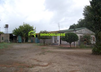 Foto 3 - Terreno agricolo VIA S.DA STATALE 7, Cisterna di Latina - foto 3