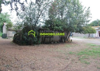 Foto 5 - Terreno agricolo VIA S.DA STATALE 7, Cisterna di Latina - foto 5