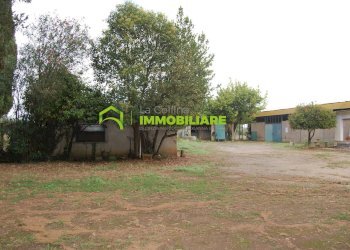 Foto 6 - Terreno agricolo VIA S.DA STATALE 7, Cisterna di Latina - foto 6